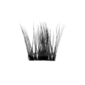 Fluffies 803