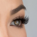 House of Lashes
