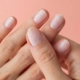 AVOA Beauty – The Sheer Truth, Kynsitarrat 16 kpl