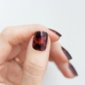 Kynsitarrat  – AVOA Beauty, What the Shell?!