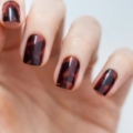 Kynsitarrat  – AVOA Beauty, What the Shell?!