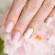 Kynsitarrat – AVOA Beauty – Rose Quartz