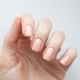 Kynsitarrat – AVOA Beauty – Send Nudes