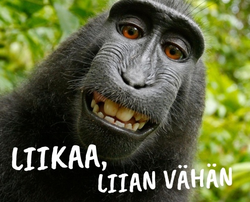 BLOGIKIRJOITUS
