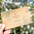 Pyykinpesuliina – Hajusteeton – Kasvipohjainen – Nopea postitus
